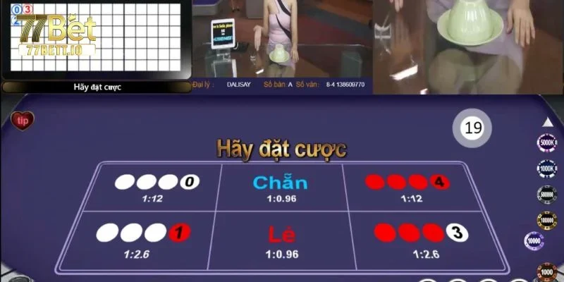 77BET là thương hiệu cược uy tín được lòng người chơi.